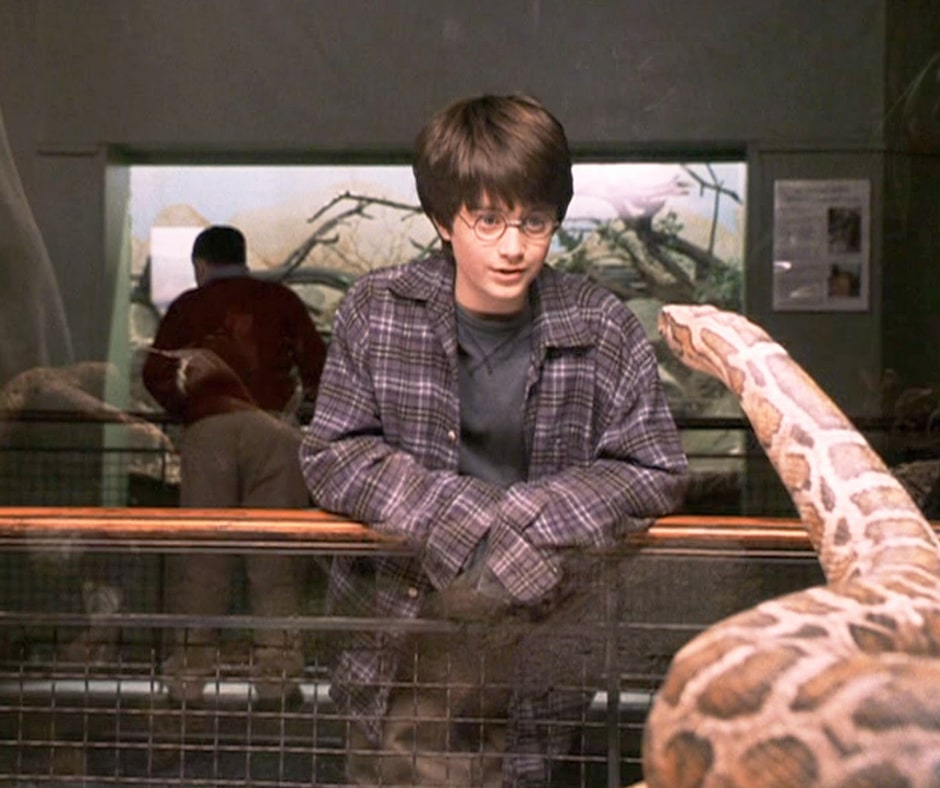Harry Potter London Zoo