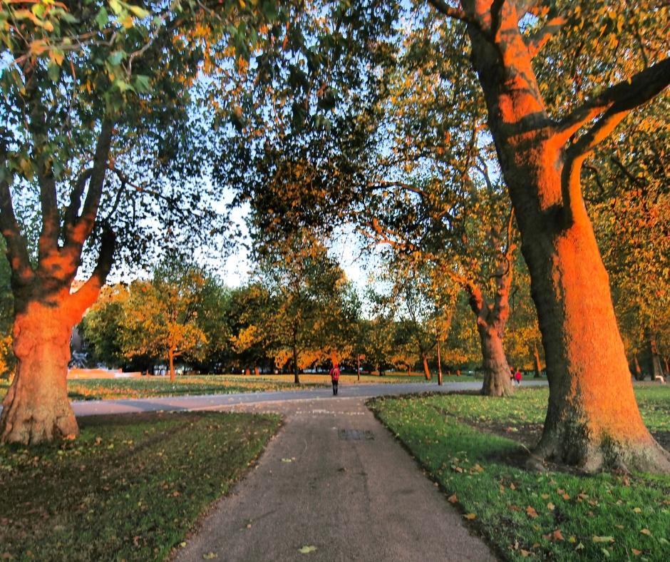 Hyde Park – Estoy en Londres